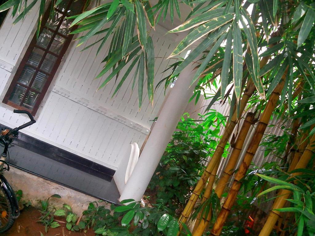 Adams Wood House Ayurveda Homestay Kochi מראה חיצוני תמונה